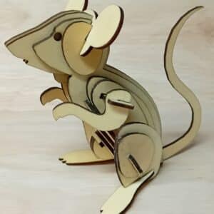 Make & Paint Your Own 3D Wooden Mouse Model