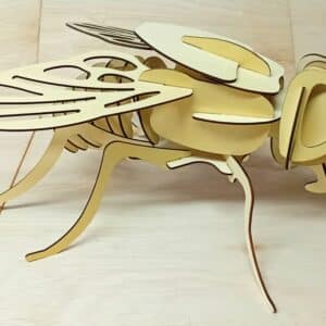Make & Paint Your Own 3D Wooden Fly Model